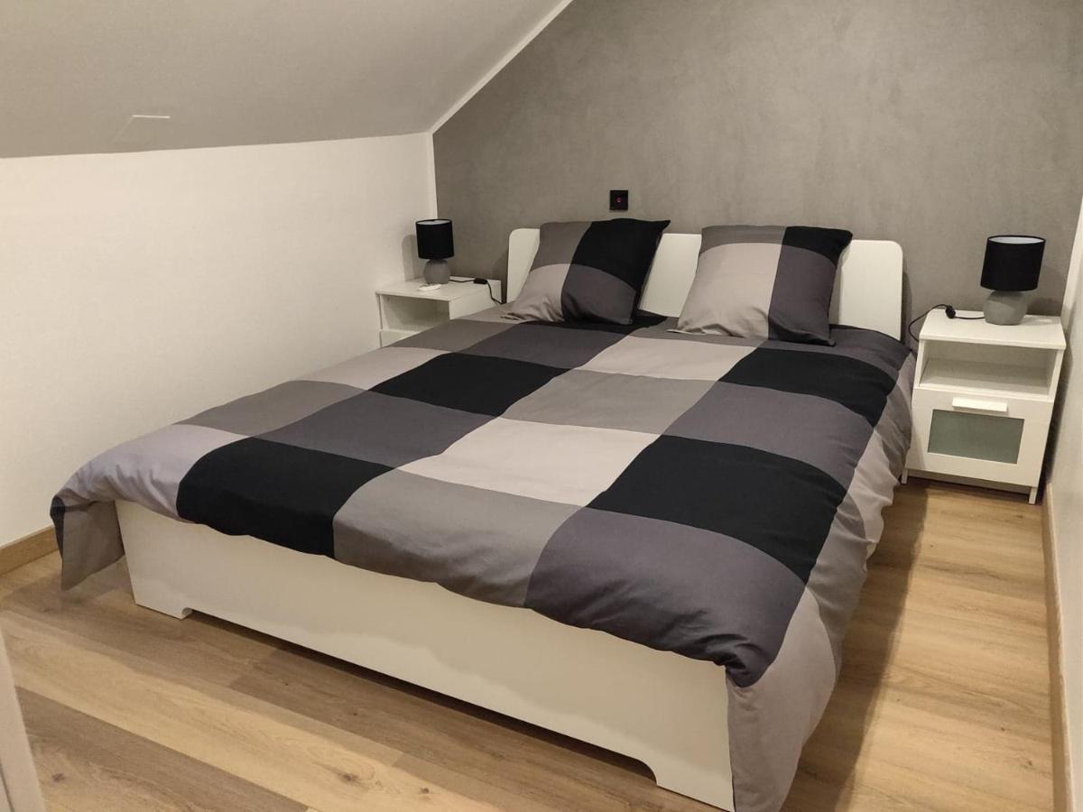 Le Business, Duplex Moderne Special Pro De Passage Διαμέρισμα Sarreguemines Εξωτερικό φωτογραφία