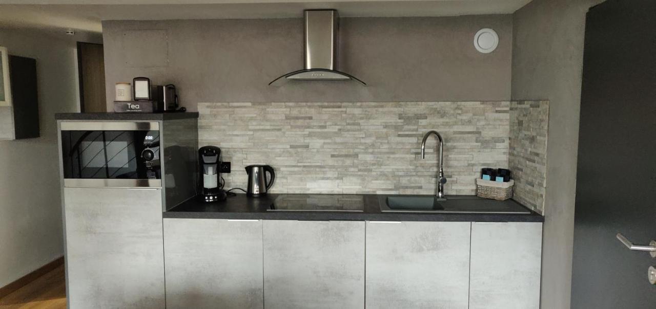 Le Business, Duplex Moderne Special Pro De Passage Διαμέρισμα Sarreguemines Εξωτερικό φωτογραφία