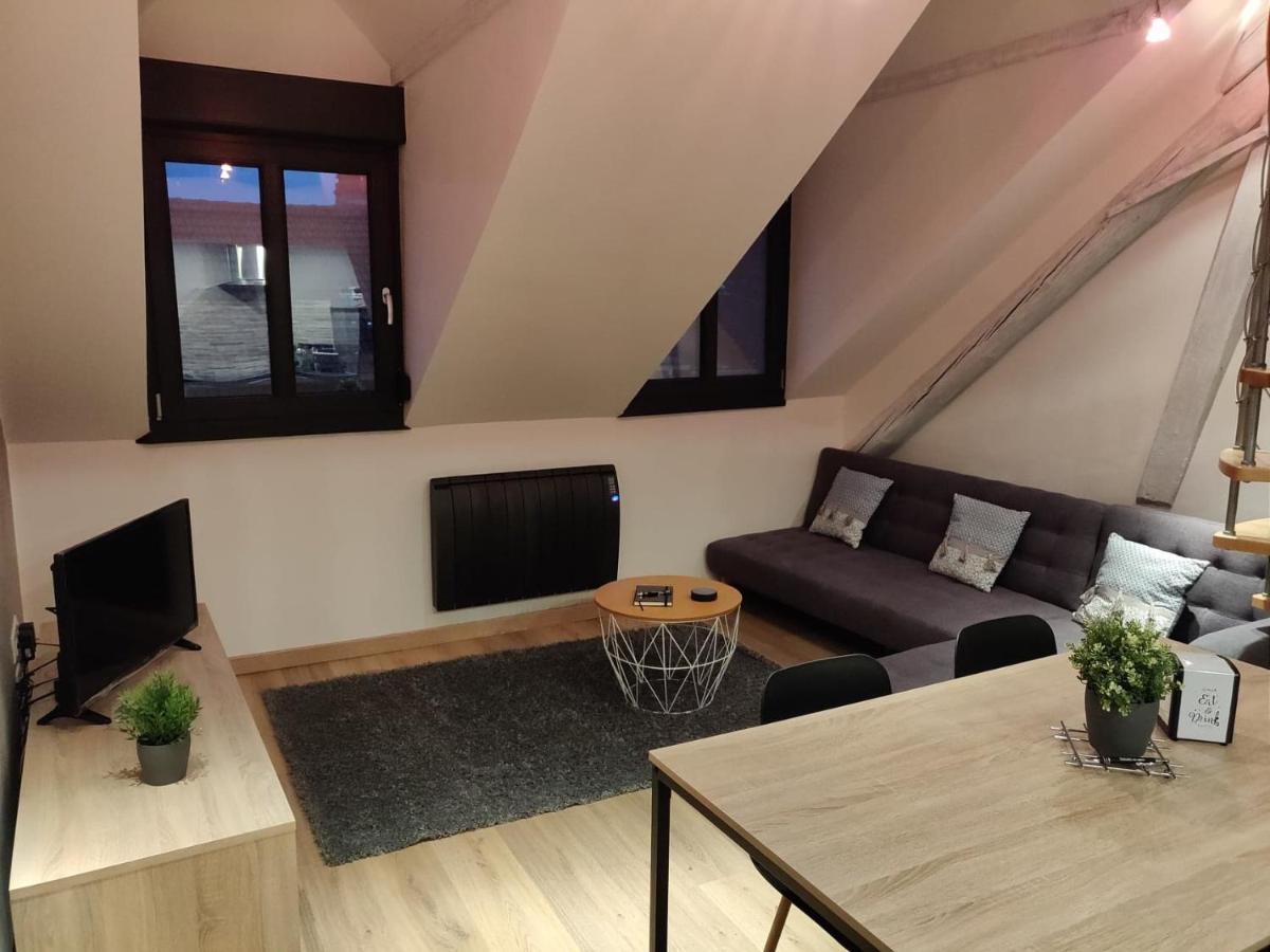 Le Business, Duplex Moderne Special Pro De Passage Διαμέρισμα Sarreguemines Εξωτερικό φωτογραφία