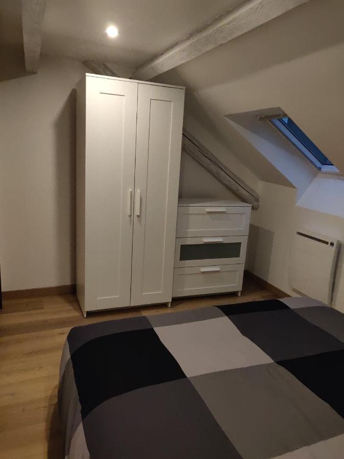 Le Business, Duplex Moderne Special Pro De Passage Διαμέρισμα Sarreguemines Εξωτερικό φωτογραφία